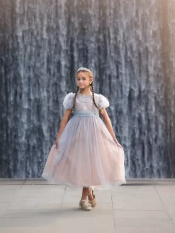 JACQUELINE GOWN SILVER -Trish Scully 120 1