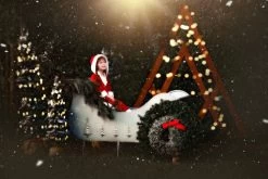 SANTA'S LITTLE HELPER -Trish Scully 121 4