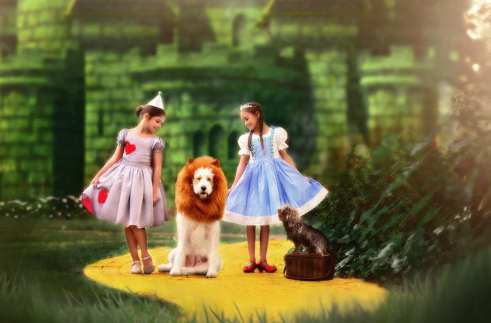 DOG LION MANE 2 DOG LION MANE - Image 2