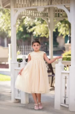 KATRINA DRESS BUTTERSCOTCH -Trish Scully 172 1