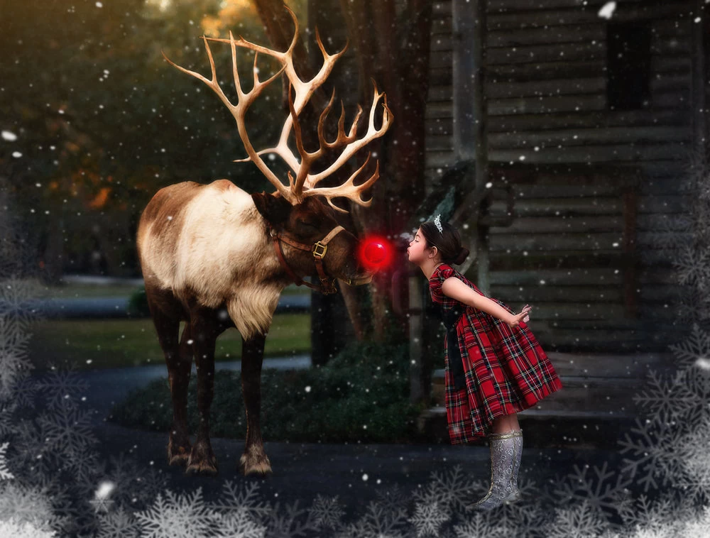 ISLA STEWART TARTAN DRESS 2 ISLA STEWART TARTAN DRESS - Image 2