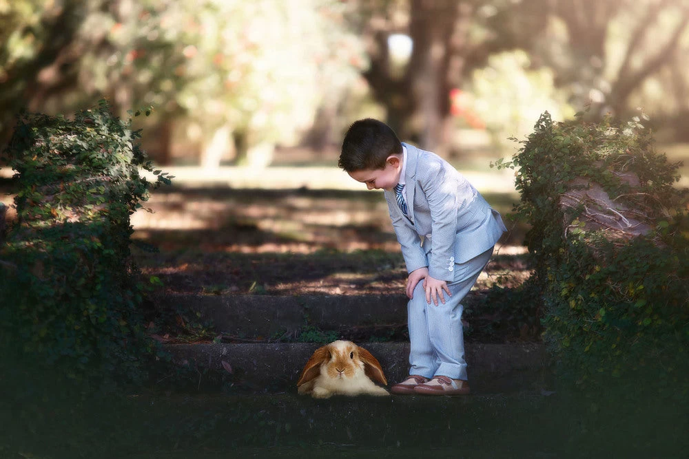 ASHFORD SEERSUCKER 3 PC. SUIT 5 ASHFORD SEERSUCKER 3 PC. SUIT - Image 5