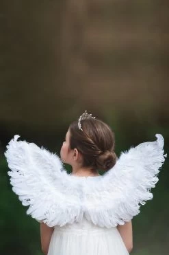 FEATHER WINGS -Trish Scully 24 3 6a719002 9947 4dec 898c 11c2e0df058f