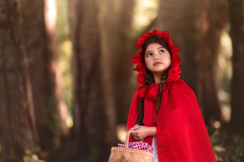 LUXE RED RIDING HOOD DRESS & CAPE SET 2 LUXE RED RIDING HOOD DRESS & CAPE SET - Image 2