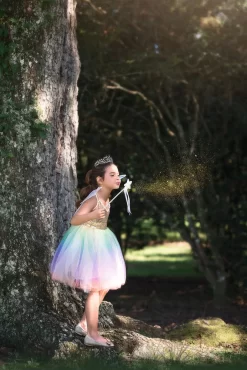 FAIRY DRESS, WINGS & WAND 3PC. SET -Trish Scully 280 5