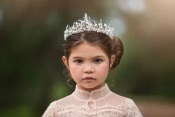 ICE QUEEN TIARA -Trish Scully 343 1