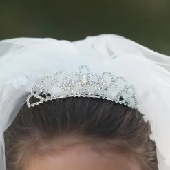 BIXBY VEIL -Trish Scully 3 ad75b8fe f984 402f aff6 36e197b184f1