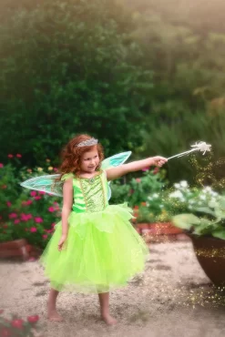 ENCHANTED FAIRY DRESS & WING SET -Trish Scully 411 1