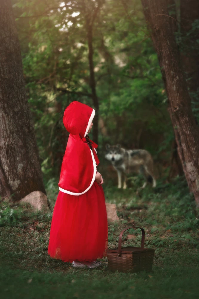 LITTLE RED RIDING HOOD 3 LITTLE RED RIDING HOOD - Image 3