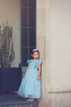 FLASH SALE QUEEN OF THE KINGDOM PRINCESS DRESS COSTUME -Trish Scully 417 5