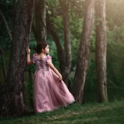 BIANCA GOWN ROSE -Trish Scully 4 c1db3045 7d00 4e83 9a80 0632834c9df8