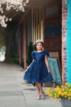 MILLY DRESS SPARKLE NAVY