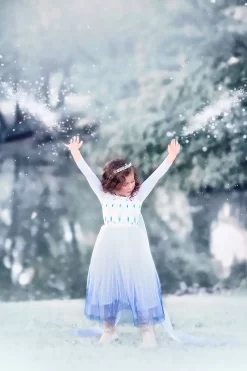 PRINCESS SIGRID GOWN