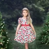 ARIELLE DRESS RED ROSE FLORAL
