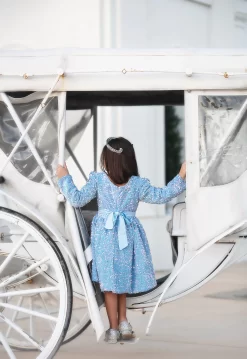 EMMA SEQUIN DRESS BLUE -Trish Scully EMMABLUE4