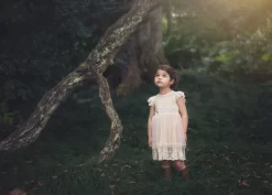 OLIVIA DRESS BUTTERSCOTCH -Trish Scully TS12fb