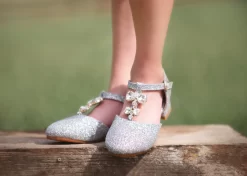 PRINCESS SHOE SILVER -Trish Scully TSC10fbcopy7