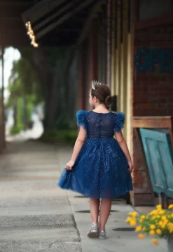 MILLY DRESS SPARKLE NAVY -Trish Scully TSC23fb 5 copy