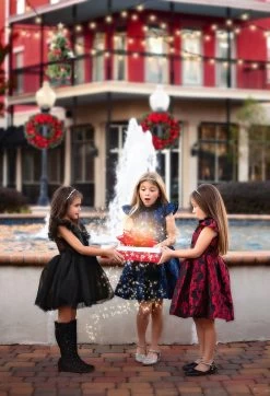 EVANGELINE DRESS NAVY JACQUARD -Trish Scully TSC3fb 292fc629 1b15 48ea 84b8 4338d035b8ae