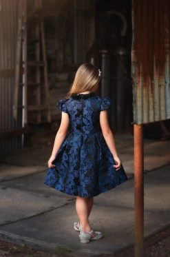 EVANGELINE DRESS NAVY JACQUARD -Trish Scully TSC44fb