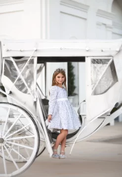 SILVER REGAL PRINCESS SHOE -Trish Scully TSC52fb f49f9ef8 b1fb 40a6 8717 c97a5429f2c7