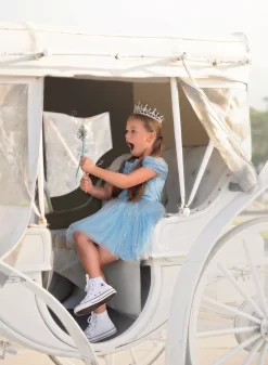 FLASH SALE QUEEN OF THE KINGDOM MINI DRESS -Trish Scully TSC7fb 8