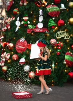 JANIE THE ELF DRESS & HAT SET -Trish Scully TSC9fb 1 3b1c27ce 30bf 4f2d 8411 9a554885bc3c