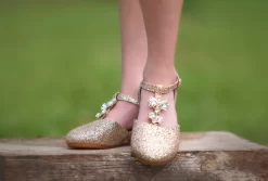 PRINCESS SHOE GOLD -Trish Scully TSC9fb 2 copy2 2821ba75 b84a 4055 b2ec eb1f11d965b3