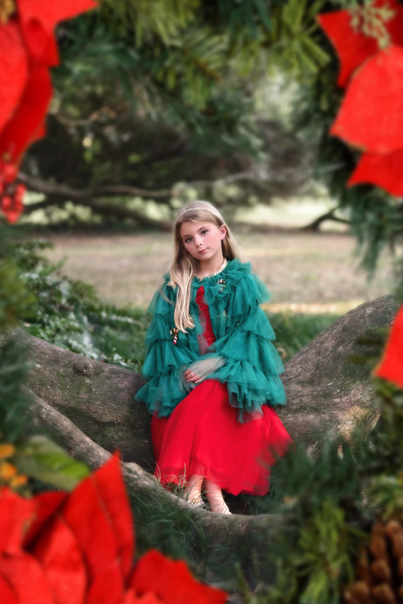 THE CHRISTMAS CAPE 2 THE CHRISTMAS CAPE - Image 2