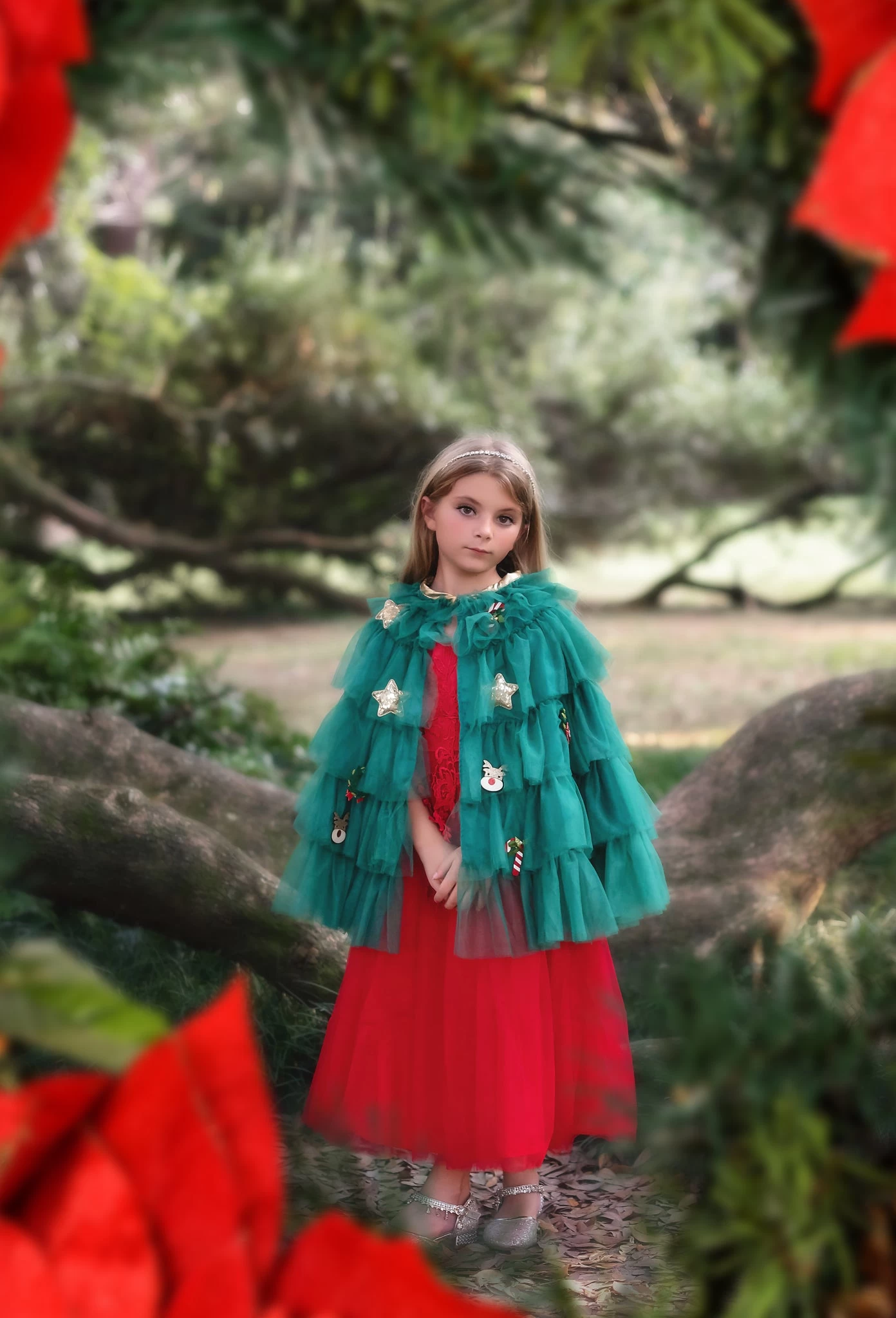 THE CHRISTMAS CAPE 1 THE CHRISTMAS CAPE