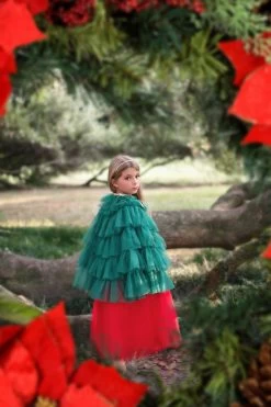 THE CHRISTMAS CAPE 9 THE CHRISTMAS CAPE -Trish Scully christmascape5