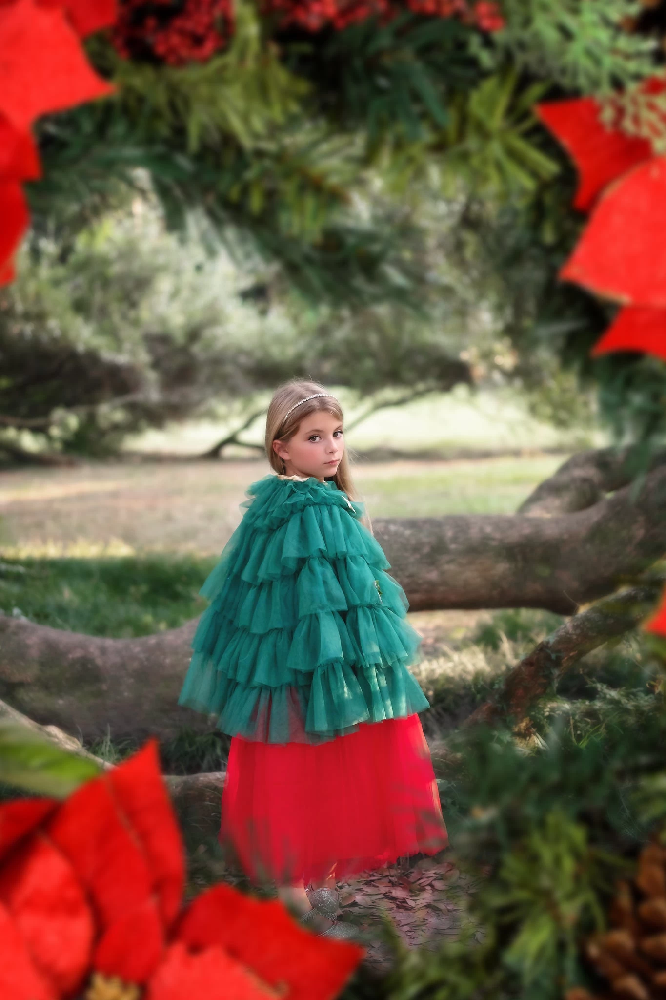 THE CHRISTMAS CAPE 5 THE CHRISTMAS CAPE - Image 5